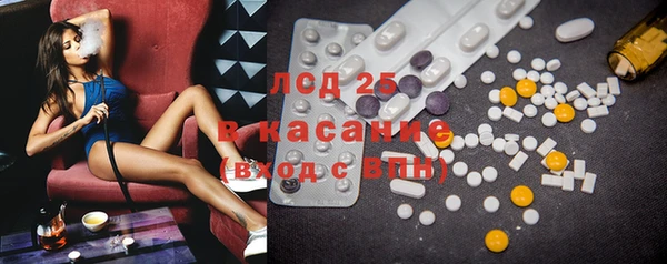 хмурый Абаза