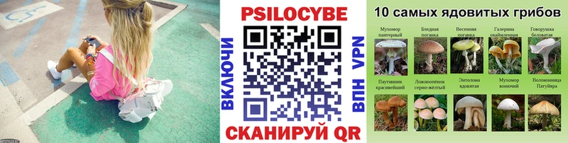 хочу   Поворино  Псилоцибиновые грибы мицелий 